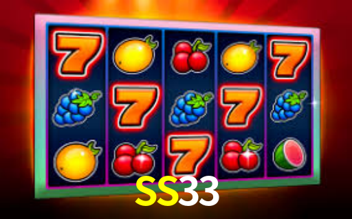 SS33